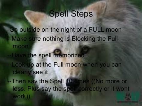 A Spell for the Brave: Embracing the Werewolf Within